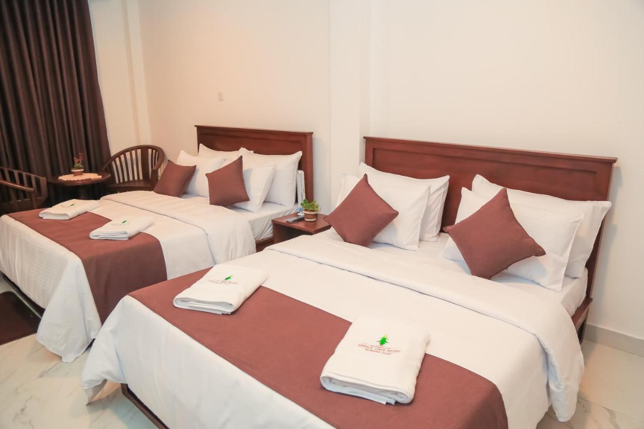The Mount View Single Tree Hotel 努沃勒埃利耶 外观 照片
