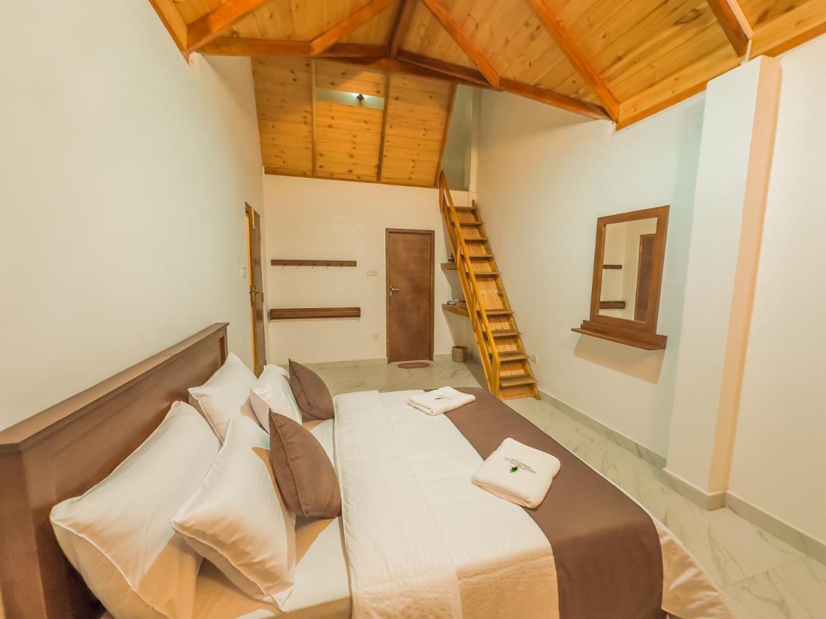 The Mount View Single Tree Hotel 努沃勒埃利耶 外观 照片