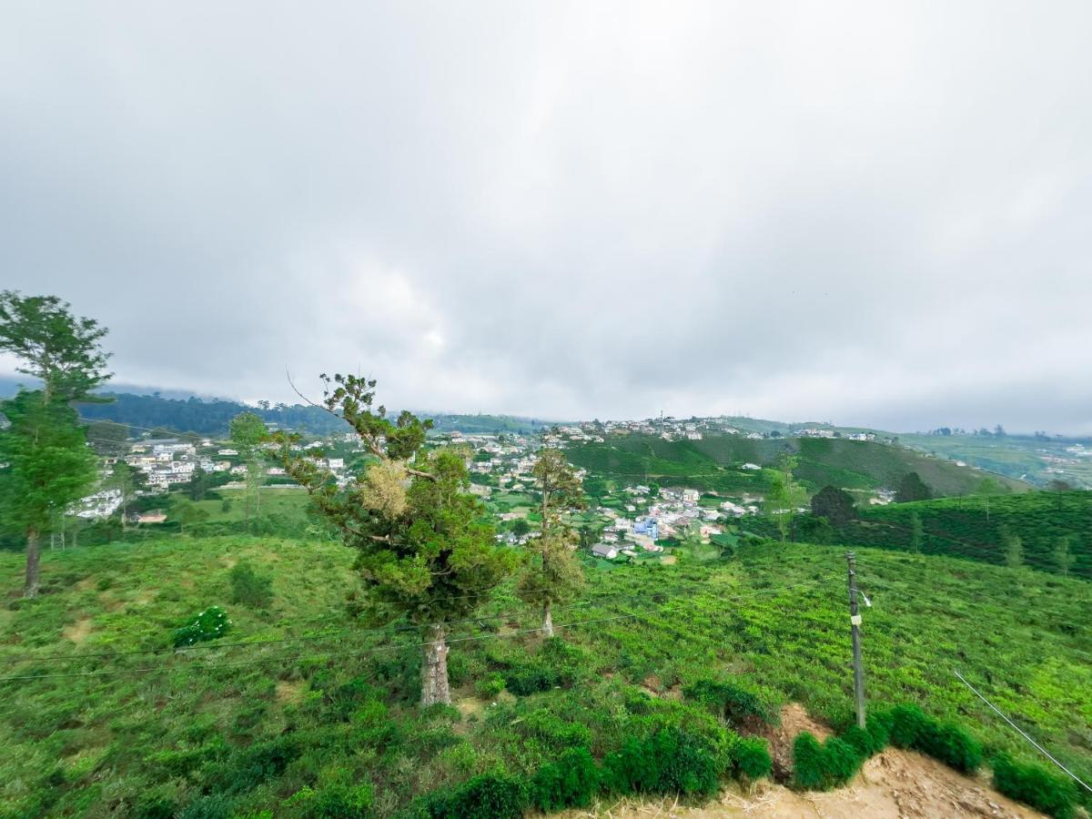 The Mount View Single Tree Hotel 努沃勒埃利耶 外观 照片